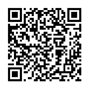 终于在一个不显眼的地方看到了一只灰头灰脑的时钟二维码生成