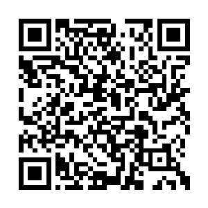 终于在家庭急救箱里找到了一把剪纱布的小剪刀二维码生成