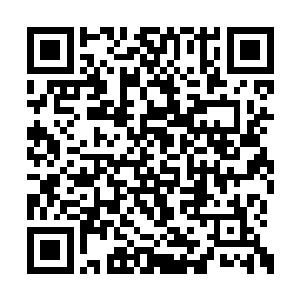 终于在那颗金属性星球的本源出发现了那个神金二维码生成