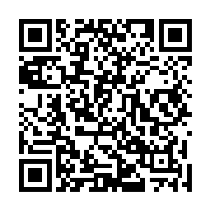 终于她从这木之意当中又有了一种新的领悟那就是生与死二维码生成