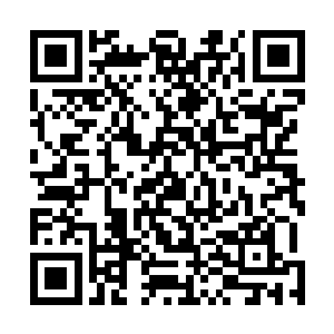 终于开始相信……面前这个扶桑人还真的是人不可貌相啊二维码生成