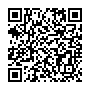 终于得知萧黎昨天竟派人去包围了夭华所在府邸的小岩二维码生成