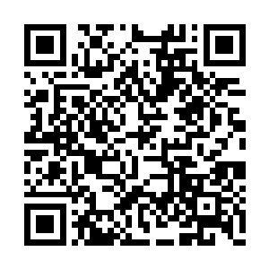 终于找到一处厉灵海上次探索时留下的营地遗迹二维码生成