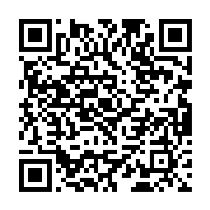 终于明白为什么暗夜旅团能成为星际第一杀手团体了二维码生成