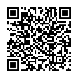 终于明白为何大罗宫能够以无上青罗宫镇压大罗天地二维码生成