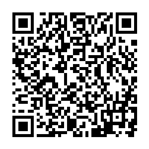 终于明白了太夏军方高层在地元界派驻大量承担战斗辅助任务战士的用意二维码生成