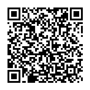 终于最后龙傲天发现小男孩的体内竟然蕴含着一股恐怖的狂暴的力量二维码生成