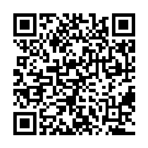 终于有一个平时比较活跃的新兵对着高扬敬礼之后大声道二维码生成