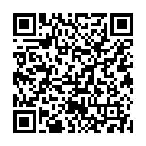 终于爆发了继龙祖和凤祖大战之后的又一场惨烈的大战二维码生成