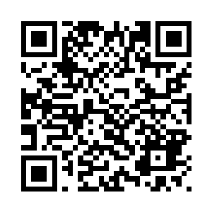 终于看到了树上搭建了很多木房子二维码生成