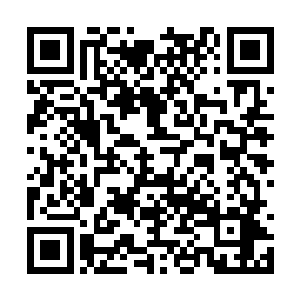 终于看到自己的生命出现了一点跟往日不同的东西二维码生成