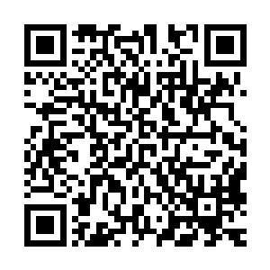 终于离开妖力海洋靠近到法则之网包裹的和鱼群分隔开的真空带二维码生成