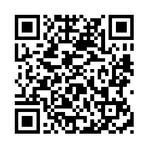 终于等到了一个同样拥有要素数据化系统的人二维码生成
