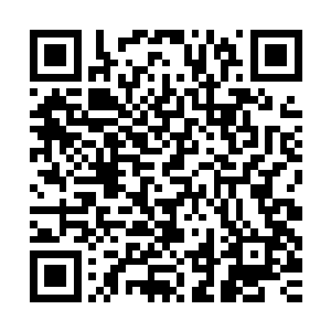 终于让他找到了和眼前这金黄色叶子果树对的上的号的一页内容二维码生成