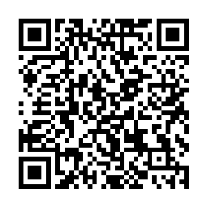 终于让那丁解丁离两兄弟露出了前所未有的恐慌之色二维码生成