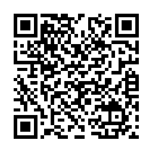 终于说动了索尔兹伯里推翻了之前与中国虎的交易二维码生成