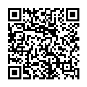 终于这组绛朱丹在五十五万下品灵石的时候她买到了手二维码生成