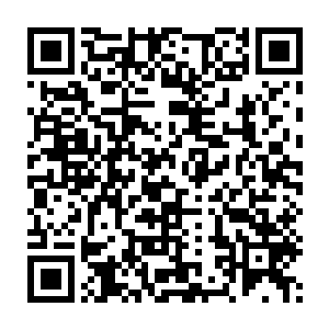 终年生活在寒冷之地的它们对于水灵术的控制拥有与生俱来的优势二维码生成