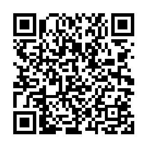 终年被五彩缤纷的毒雾瘴气笼罩的彩珠山脉整体呈现半弧形二维码生成