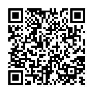 终是拖到我和咕仔把双珠合并之法修炼到快要大成二维码生成