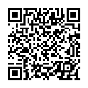 终极对决的三驾马车才是十月第五周的绝对主角二维码生成