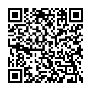 终极对决的飓风无差别地席卷全世界每一个角落二维码生成