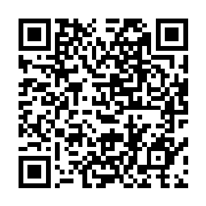 终极手段那可是在舰队面临全军覆没的时候才被允许启动的二维码生成
