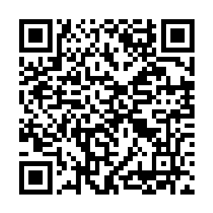 终究只是靠着贺翠蓉的关系出能够得到贺泰山的青睐二维码生成