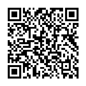 终究没希望找到逆转时间的方法即便他已经灭绝人性二维码生成
