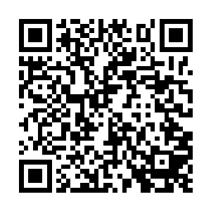 终究还是没办法完全摆脱虚荣心和别的情绪的影响二维码生成