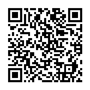 经历三千年前那一场动荡浩劫的老人都不免有些忧心忡忡二维码生成