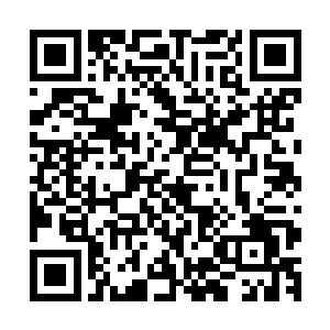 经历了大量伤痛的国家也从这猝然而来的当头一棒中醒过来了二维码生成