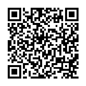 经历过无数次大大小小采访都面不改色的苏紫萱二维码生成