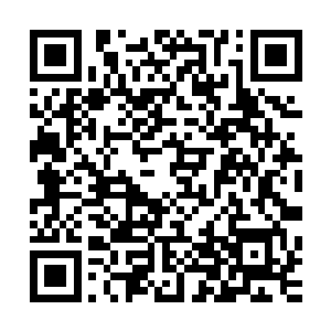 经历过现代教育的人不会认为人体自身的力量可以与枪炮抗衡二维码生成