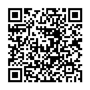 经常仗着洪涛喜欢她而小小的挑衅一下洪涛的权威二维码生成