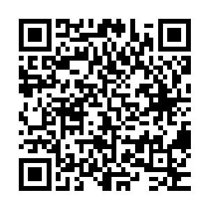经常会有一些宗派或者大家族一夜之间被毒宗莫名其妙的歼灭二维码生成