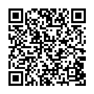 经常和林锐一起行动的疯马或者将岸等人才知道二维码生成