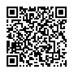 经常在这个场子混的人都知道枫叶山的难度有多高二维码生成