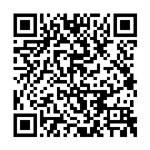 经理可不敢拿世面上假的茅台来忽悠这个神之子二维码生成