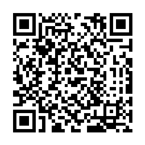 经略使大人带着那名心腹扈从慢悠悠走出将军府邸二维码生成