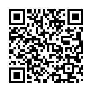 经贸代表们对吉布提的兴趣要淡避多二维码生成