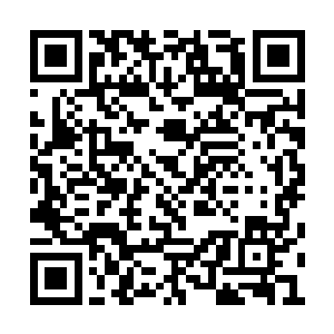 经过了两天的魔鬼排练之后小秋还是精神头十足二维码生成