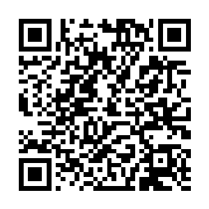 经过了寿家的事她若是还不帮着婉宁说话就是个傻子二维码生成