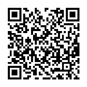 经过十年的布置龙傲天终于将所有该做的也都做了二维码生成