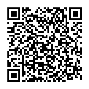 经过多年的经营终于把菅直人推上了民主党领袖和副首相兼财务相的位置二维码生成