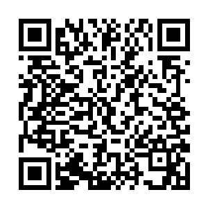 经过多日滋养的紫色血气则达到了晋升三阶的临界点二维码生成