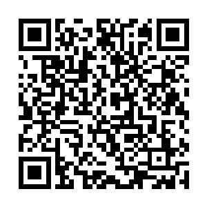 经过它身边的独角乌烟兽总会有意无意的欺负它一下二维码生成