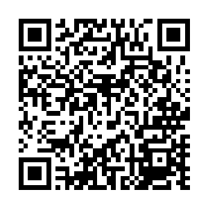 经过返祖后的叶秋单手不夸张的说已经超过传统的千斤之力二维码生成