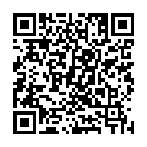 经验丰富的卢西奥和身体素质出色的孔帕尼配合的相得益彰二维码生成