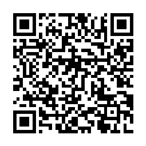 经验丰富的星恒只是一句话便吊起了5万多观众们的胃口二维码生成